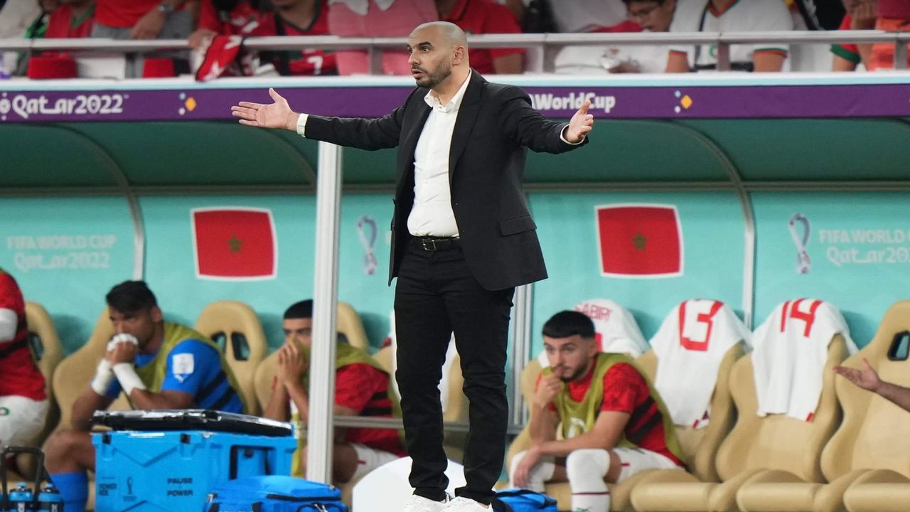 وليد الركراكي مدرب المغرب