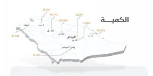 "الأمن الغذائي": صرف (426) مليون ريال لمزارعي القمح المحلي