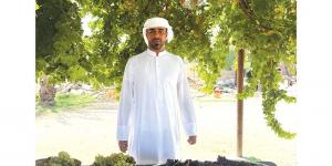مواطن يحافظ على إرث والده بزراعة العنب الإماراتي