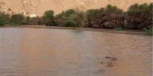 أمطار غزيرة تضرب حضرموت وتحول شوارع رخية إلى أنهار جارفة
