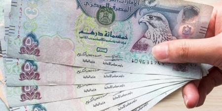 سعر الدرهم الإماراتي مقابل الجنيه المصري اليوم الأربعاء 25 سبتمبر 2024