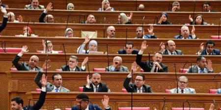 مجلس النواب يرفض مقترح نائب بتغيير اسم الصندوق السيادي إلى «خزائن الأرض»
