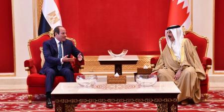 حزب المصريين الأحرار: جولتا الرئيس السيسي إلي قطر والبحرين تؤكدان رسوخ الدور المصري في دعم التضامن العربي