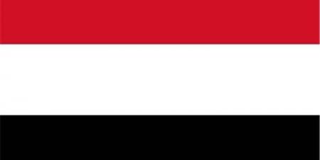 المجموعة الأفريقية بمجلس الأمن تؤكد دعمها لوحدة اليمن