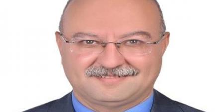 شركات خدمات استثمار صناعي.. مقترح جديد لتقليل زمن تأسيس المشروعات في مصر
