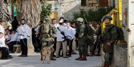 إصابة عدد من الفلسطينيين في اعتداء للمستوطنين جنوب الخليل