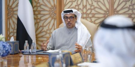 منصور بن زايد يترأس اجتماع مجلس إدارة مجلس الاستقرار المالي