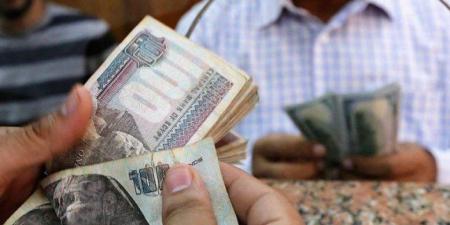 تعرّف على أعلى عائد لشهادات الادخار فى البنوك المصرية والأوعية الإدخارية الجديدة