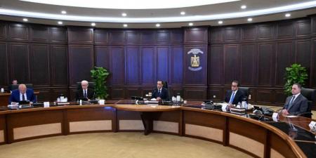 مدبولي: تنفيذ تكليفات الرئيس بشأن العمالة غير المنتظمة والمهن الحرة
