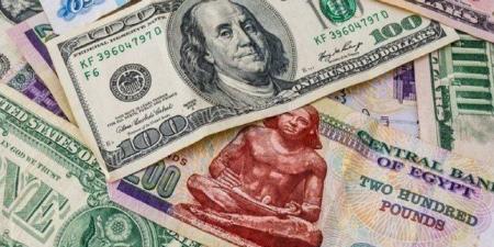 استقرار سعر الدولار أمام الجنيه المصري في تعاملات اليوم السبت
