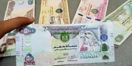 الدرهم الإماراتي يسجل 13.74 جنيه فى البنك المركزى اليوم 18-7-2026