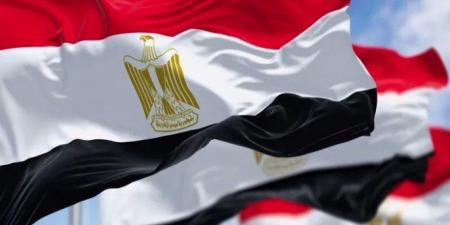 أسامة السعيد: مصر شريك تنموي موثوق يقود مشروعات التنمية في إفريقيا