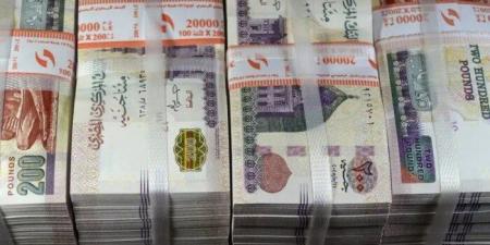 شهادات للمليونيرات.. البنوك المصرية تطرح أوعية ادخارية لكبار العملاء 2026