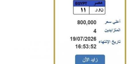 رقمها «نور 11».. التزايد يشتعل على لوحة سيارة مميزة| اعرف الخطوات