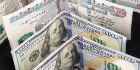 سعر الدولار مقابل الجنيه المصري في البنوك الثلاثاء 21 يوليو 2026