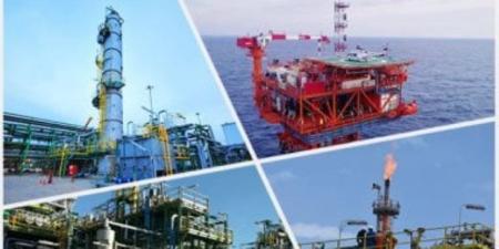 نائبة التنسيقية: تشغيل المصريين في مشروعات البترول التزام وطني وعلى الشريك الأجنبي نقل الخبرات والتكنولوجيا