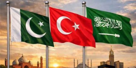 تركيا وباكستان تحذران مليشيات الحوثي بعد تهديد السعودية والملاحة في البحر الأحمر