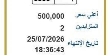 بنصف مليون جنيه.. المرور تطرح التزايد على لوحة سيارة مميزة | اعرف الخطوات