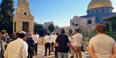 مستوطنون يقتحمون المسجد الأقصى تزامنا مع ما يسمى "ذكرى خراب الهيكل"