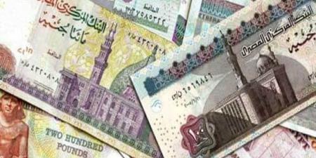 تحذير رسمي في مصر من عمليات احتيال بنكي واسعة النطاق