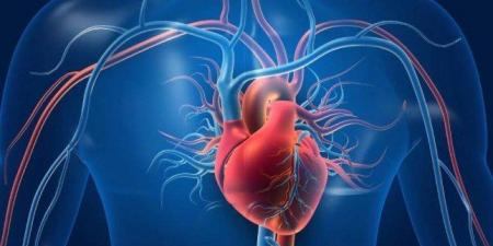 ضعف عضلة القلب قد يؤدي إلى تجمع السوائل بالرئتين.. متى يصبح الأمر خطيرًا؟