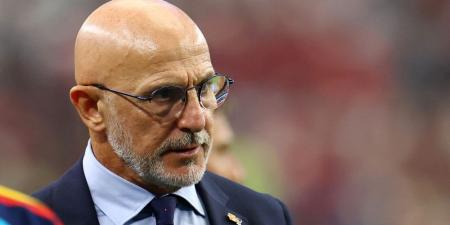 "لم يتعرضوا لعقوبات"!.. مدرب إسبانيا يعلق على سلوك لاعبي الأرجنتين بعد نهائي كأس العالم