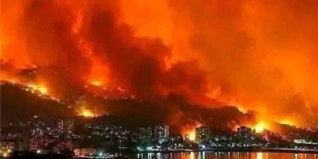 الجزائر تواجه لهيب الحرائق.. وألسنة النار تلتهم مساحات واسعة