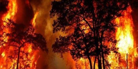 حرائق الغابات تجبر نحو 270 ألف شخص على الإجلاء في فرنسا وإسبانيا