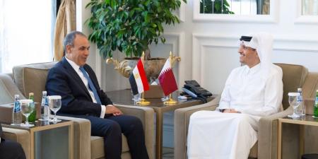 وزير الخارجية يلتقي نظيره القطري في الدوحة ويبحثان سبل تعزير العلاقات الثنائية