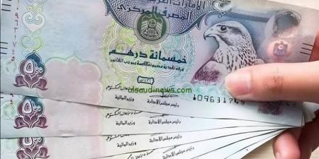 الدرهم الإماراتي يفاجئ الأسواق.. تعرف على سعره أمام الجنيه المصري اليوم الأحد 26 يوليو 2026