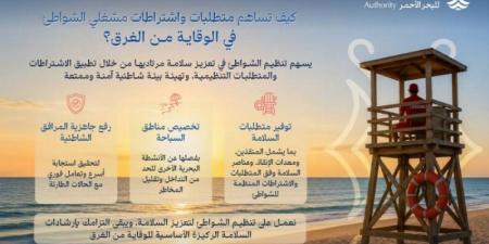 اشتراطات تشغيل الشواطئ في المملكة.. تعزيز السلامة وحد من مخاطر الغرق