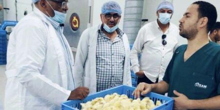 مدير زراعة المنوفية يتفقد مشروعات الإنتاج الحيواني والداجني والأعلاف بمدينة السادات