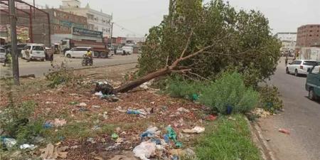 رياح شديدة وأمطار غزيرة تضرب الحوطة وتبن بلحج.. ومخاوف من انتشار الحميات