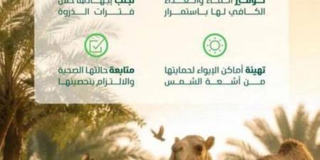 السجن 5 سنوات عقوبة إيذاء الثروة الحيوانية