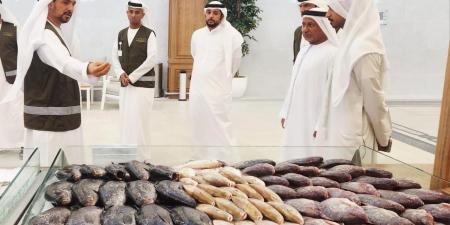 إغلاق 31 منشأة.. «التغير المناخي والبيئة» تتخذ إجراءات قانونية بحق المنشآت غير الملتزمة