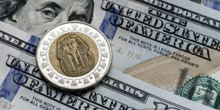 سعر الدولار اليوم مقابل الجنيه في البنوك.. تحديث لحظي