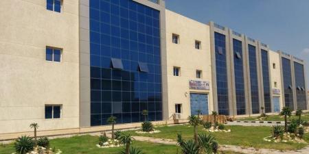 الهيئة العربية للتصنيع: صدّرنا أبراج الاتصالات للجزائر وندخل مجال أبراج الكهرباء