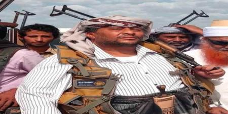 شيخ مشايخ الزرانيق: قادمون إلى الحديدة فاتحين لا منتقمين.. والسلام طريق الأمان