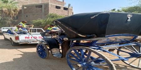 التحفظ على عربات الحنطور المخالفة بشارع كورنيش النيل في الأقصر