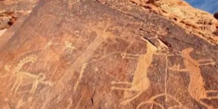 النقوش الأثرية في محمية الملك سلمان بن عبدالعزيز الملكية شاهد على تاريخ المكان وعراقته