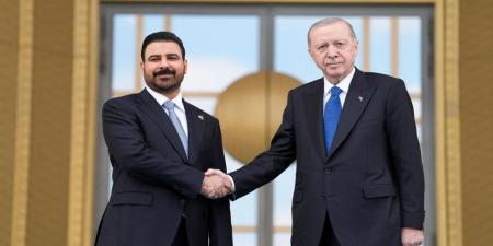 أردوغان: تركيا تسعى لتوقيع اتفاقية تعاون في مجال الطاقة مع العراق