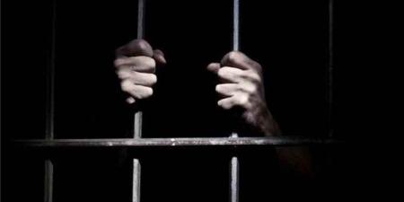 الحوثيون يفرجون عن أربعة مختطفين في إب بعد أكثر من عام على احتجازهم
