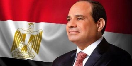الرئيس السيسي: نرحب بقرار رئيس مدغشقر بتمثيل دبلوماسي مقيم في مصر