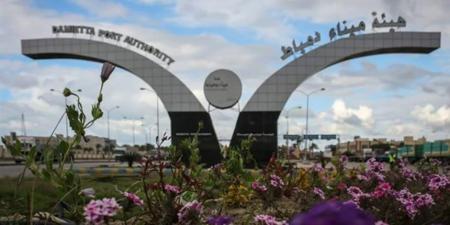 الحوثيون ينفون استهداف أي سفينة بميناء دمياط