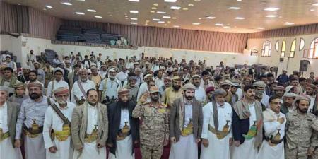مأرب.. مشايخ ووجهاء صنعاء يؤكدون جهوزيتهم لدعم الجيش في استعادة الدولة وحماية السيادة