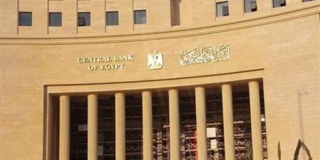 مصر تقود إعداد ونشر أول تقرير للاستقرار المالي على مستوى إفريقيا
