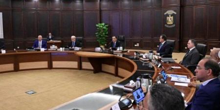 الحكومة تبدأ إجراءات إنشاء مركز لوجستي للكيماويات بميناء الإسكندرية