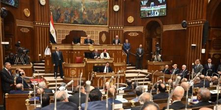 حزب العربي الناصري: الشفافية عززت الثقة في مؤسسات الدولة والإعلام الوطني حائط صد أمام الشائعات