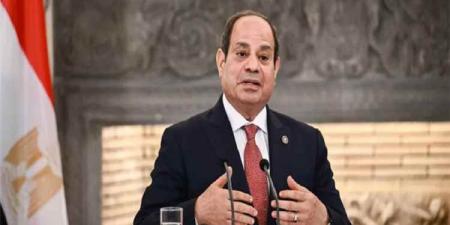 أول تعليق للرئيس المصري على الهجوم بطائرة مسيرة الذي استهدف سفينتين بميناء دمياط