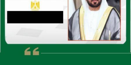 اليماحي يدين استهداف سفينتين في ميناء دمياط